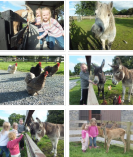 Glendeer Farm – Ireland -26th April 2025